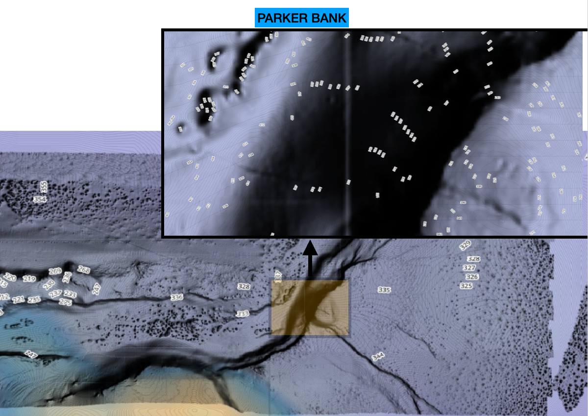 CENTRAL GULF OF AMERICA