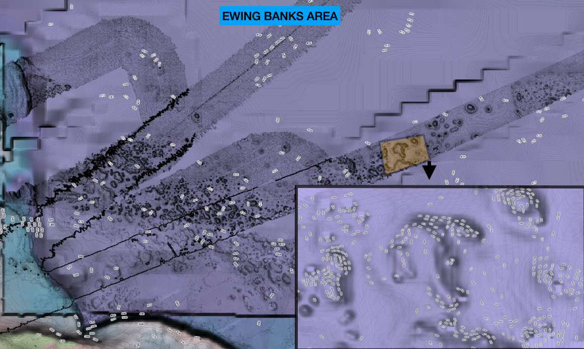 CENTRAL GULF OF AMERICA