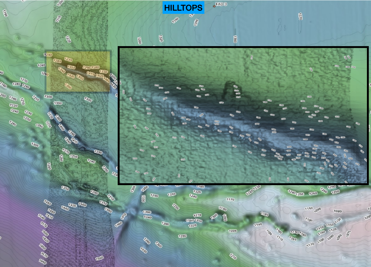 WESTERN GULF OF AMERICA